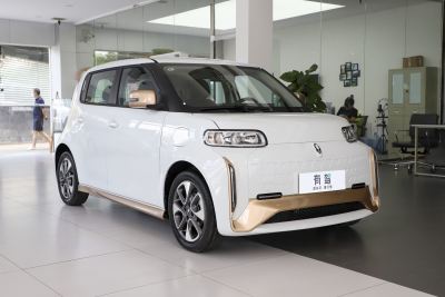 2022款 小野猫版 360km 豪华型 三元锂-外观-图片-有驾