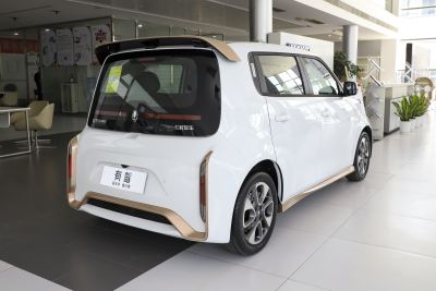 2022款 小野猫版 360km 豪华型 三元锂-外观-图片-有驾