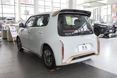 2022款 小野猫版 360km 豪华型 三元锂-外观-图片-有驾