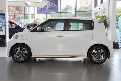 2022款 小野猫版 360km 豪华型 三元锂-外观-图片-有驾