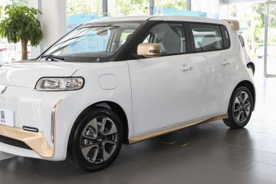 2022款 小野猫版 360km 豪华型 三元锂-外观-图片-有驾