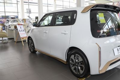 2022款 小野猫版 360km 豪华型 三元锂-外观-图片-有驾