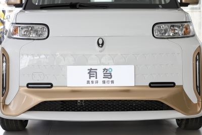 2022款 小野猫版 360km 豪华型 三元锂-外观-图片-有驾