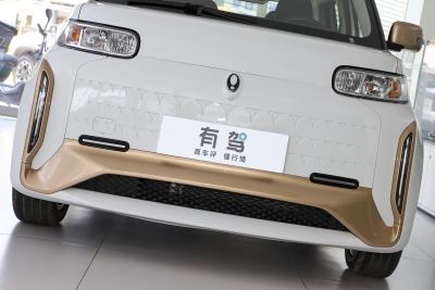 2022款 小野猫版 360km 豪华型 三元锂-外观-图片-有驾
