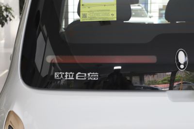 2022款 小野猫版 360km 豪华型 三元锂-外观-图片-有驾
