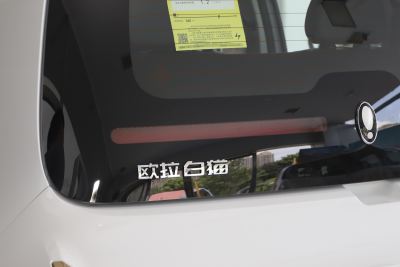 2022款 小野猫版 360km 豪华型 三元锂-外观-图片-有驾