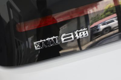 2022款 小野猫版 360km 豪华型 三元锂-外观-图片-有驾