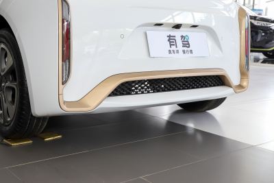2022款 小野猫版 360km 豪华型 三元锂-外观-图片-有驾
