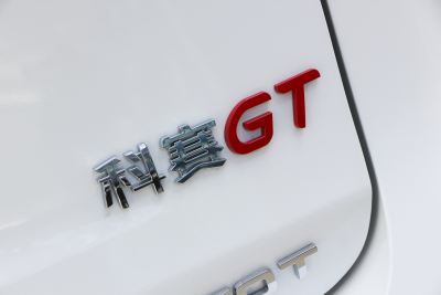 2021款 GT 2.0T 自动旗舰型 7座-外观-图片-有驾