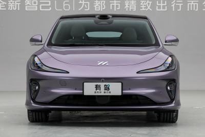 2025款 Max+-外观-图片-有驾