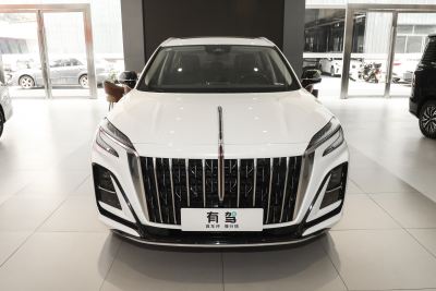 2024款 2.0T 可为版-外观-图片-有驾