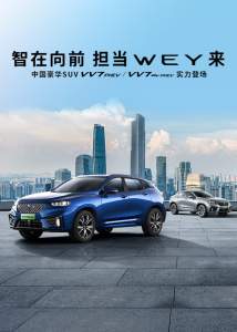 2020款 GT PHEV 2.0T 旗舰型-官方图-图片-有驾