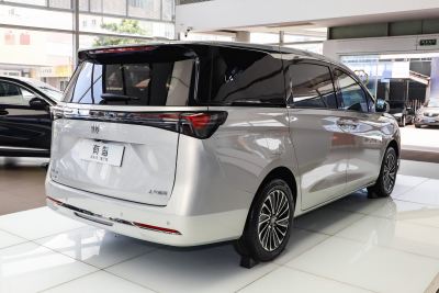 2025款 陆尚 先享版 7座-外观-图片-有驾