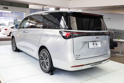 2025款 陆尚 先享版 7座-外观-图片-有驾