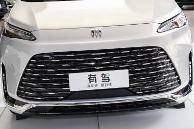 2025款 陆尚 先享版 7座-外观-图片-有驾