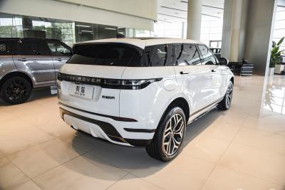 2023款 极光L P300e 插电式电动混合版-外观-图片-有驾