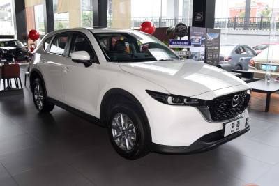 2024款 2.0L 自动两驱智尚Pro-外观-图片-有驾