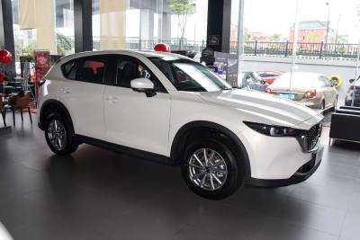 2024款 2.0L 自动两驱智尚Pro-外观-图片-有驾
