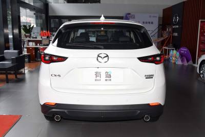 2024款 2.0L 自动两驱智尚Pro-外观-图片-有驾