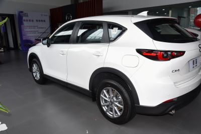 2024款 2.0L 自动两驱智尚Pro-外观-图片-有驾
