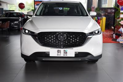 2024款 2.0L 自动两驱智尚Pro-外观-图片-有驾
