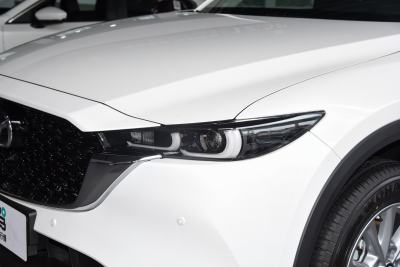 2024款 2.0L 自动两驱智尚Pro-外观-图片-有驾
