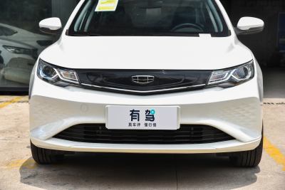 2022款 EV Pro 出租型 三元锂-外观-图片-有驾