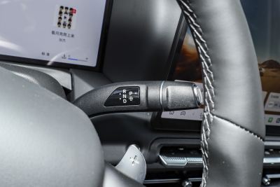 2025款 2.0T 征服者-内饰-图片-有驾