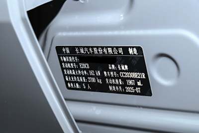 2025款 2.0T 征服者-外观-图片-有驾