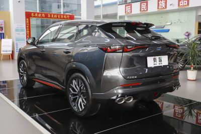 2023款 蓝鲸 2.0T 自动智行型-外观-图片-有驾