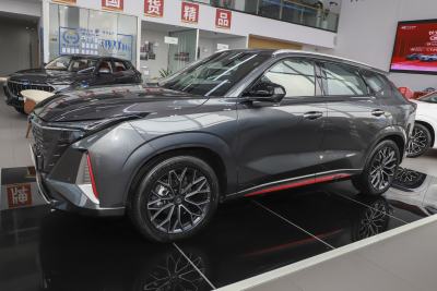 2023款 蓝鲸 2.0T 自动智行型-外观-图片-有驾