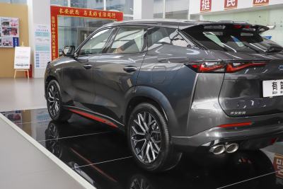 2023款 蓝鲸 2.0T 自动智行型-外观-图片-有驾