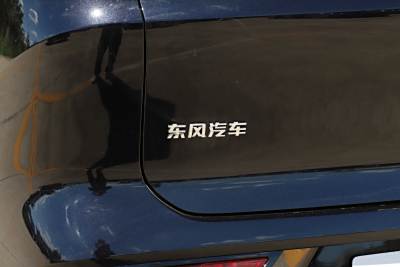 2025款 185KM理想版-外观-图片-有驾
