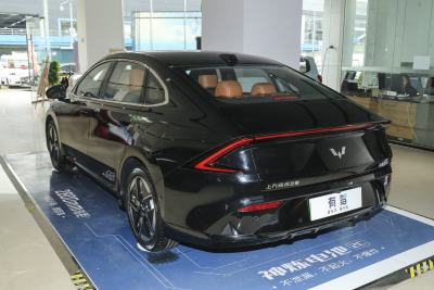 2025款 610km 智能旗舰型-外观-图片-有驾
