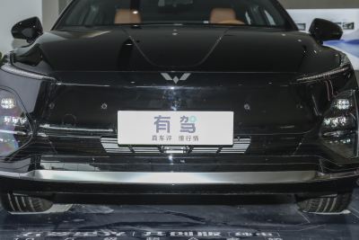 2025款 610km 智能旗舰型-外观-图片-有驾