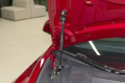 2025款 改款 后轮驱动版-外观-图片-有驾