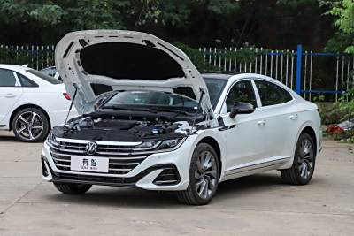 2026款 3000万辆甄选款 380TSI 夺目-外观-图片-有驾