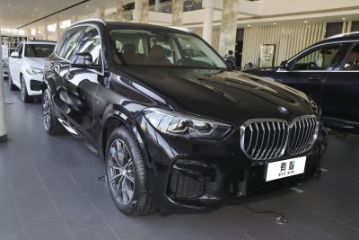 2022款 xDrive30i M运动套装-外观-图片-有驾