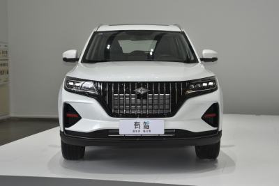 2021款 1.5T 自动旗舰型 7座-外观-图片-有驾