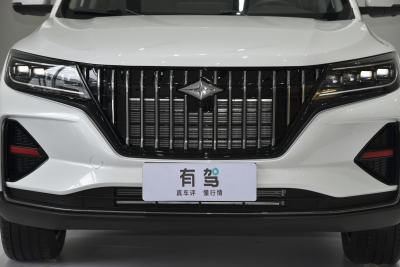 2021款 1.5T 自动旗舰型 7座-外观-图片-有驾