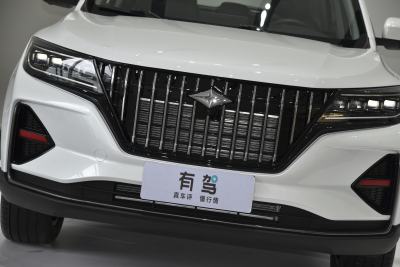 2021款 1.5T 自动旗舰型 7座-外观-图片-有驾