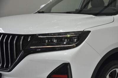 2021款 1.5T 自动旗舰型 7座-外观-图片-有驾