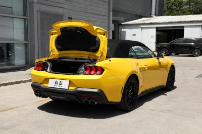 2024款 2.3T EcoBoost 敞篷运动版-空间-图片-有驾