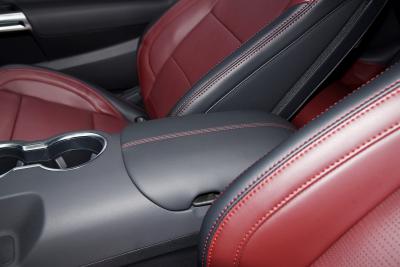 2024款 2.3T EcoBoost 敞篷运动版-空间-图片-有驾