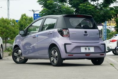 2024款 挚爱版 301km Air-外观-图片-有驾