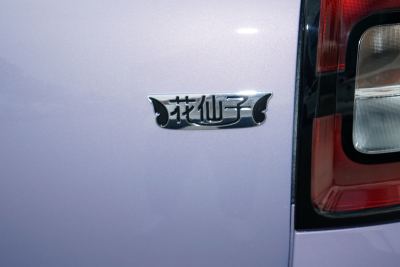 2024款 挚爱版 301km Air-外观-图片-有驾