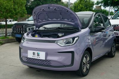 2024款 挚爱版 301km Air-外观-图片-有驾