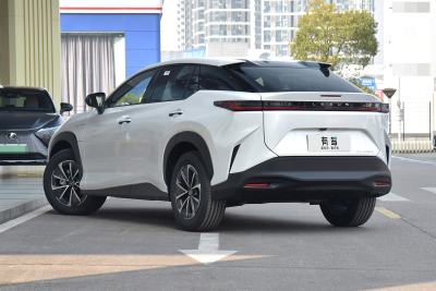 2023款 300e 长续航 纵行版-外观-图片-有驾