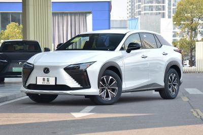 2023款 300e 长续航 纵行版-外观-图片-有驾