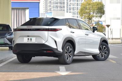 2023款 300e 长续航 纵行版-外观-图片-有驾